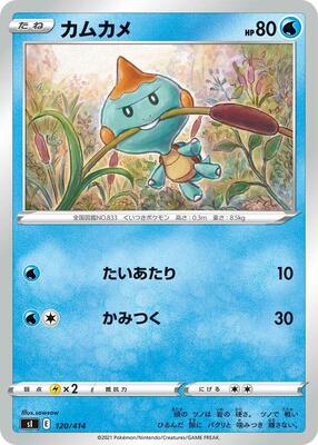 Chewtle card from SI: Start Deck 100