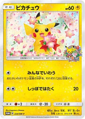 Pikachu - 224/SM-P card from SM-P: Sun & Moon Promos