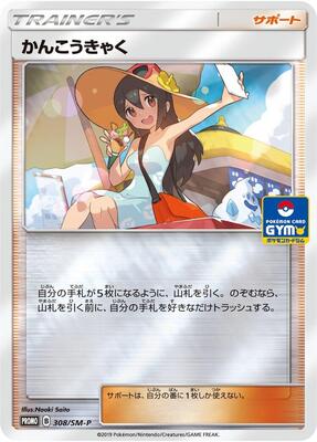 Sightseer - 308/SM-P card from SM-P: Sun & Moon Promos