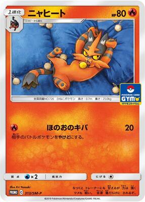 Torracat - 313/SM-P card from SM-P: Sun & Moon Promos