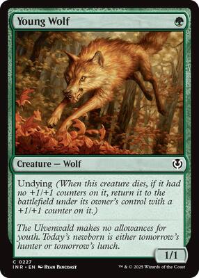 Young Wolf card from Innistrad Remastered