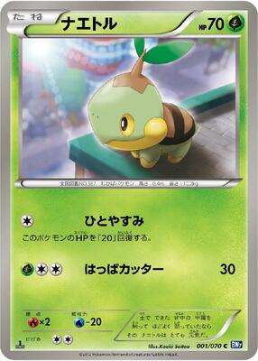 Turtwig card from BW7: Plasma Gale