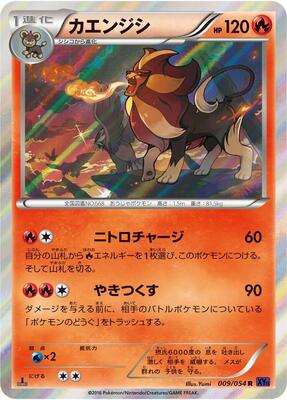 Pyroar card from XY11-Bb: Fever-Burst Fighter