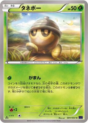 Seedot card from XY11-Bb: Fever-Burst Fighter