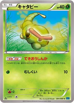 Caterpie card from XY2: Wild Blaze