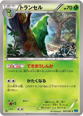 Metapod card from XY2: Wild Blaze