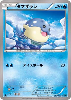 Spheal card from XY2: Wild Blaze