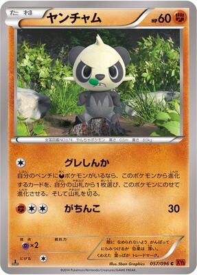 Pancham card from XY3: Rising Fist