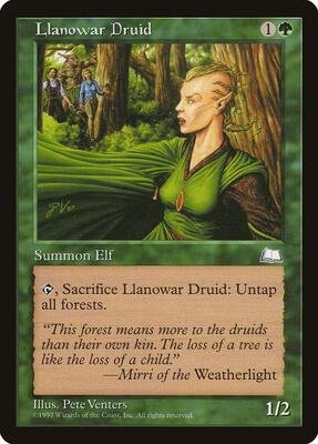 Llanowar Druid card from Weatherlight