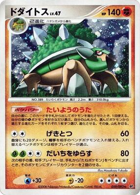 Torterra card from Intense Fight in the Destroyed Sky