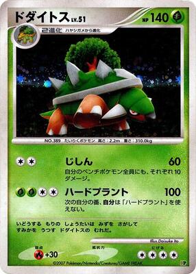 Torterra card from Entry Pack '08