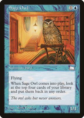 Sage Owl card from Weatherlight