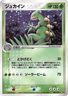 Sceptile card from ADV Expansion Pack