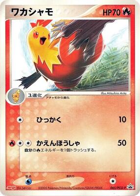 Combusken - 065/PCG-P card from PCG-P Promotional cards