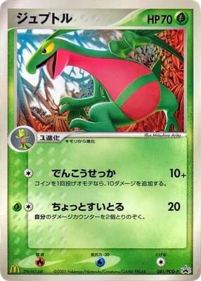 Grovyle - 081/PCG-P card from PCG-P Promotional cards