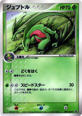 Grovyle - 008/ADV-P card from ADV-P Promotional cards