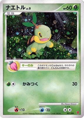 Turtwig card from PPP Promotional cards