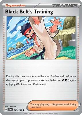 Black Belt's Training - 143/159 card from SV09: Journey Together