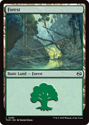 Forest (0285) card from Tarkir: Dragonstorm