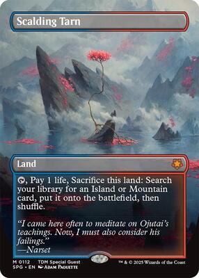 Scalding Tarn (Borderless) card from Special Guests