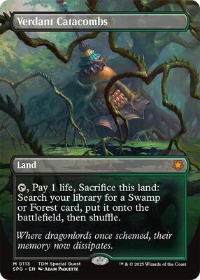 Verdant Catacombs (Borderless) card from Special Guests