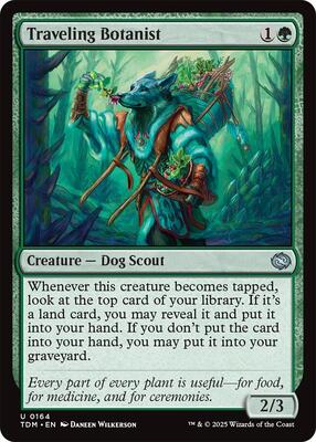 Traveling Botanist card from Tarkir: Dragonstorm