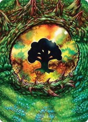Forest Art Card (32/54) card from Art Series: Tarkir: Dragonstorm