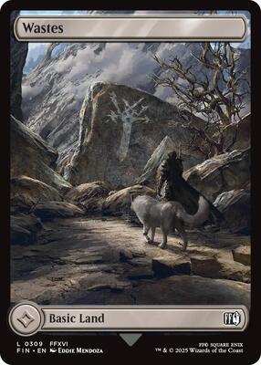 Wastes card from FINAL FANTASY