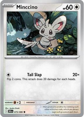 Minccino card from SV: Black Bolt