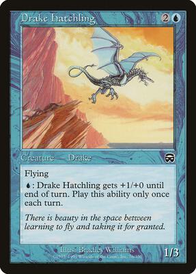 Drake Hatchling card from Mercadian Masques