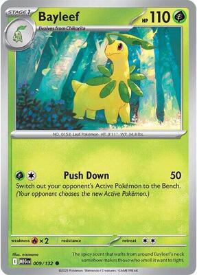 Bayleef card from ME01: Mega Evolution
