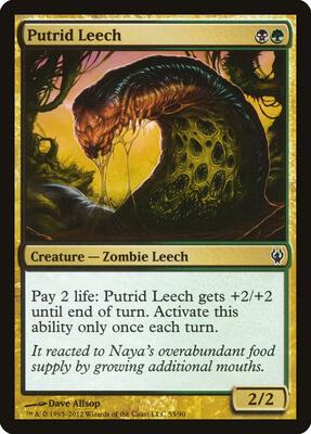 Putrid Leech card from Duel Decks: Izzet vs. Golgari