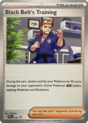 Black Belt's Training - 220 card from SV: Scarlet & Violet Promo Cards