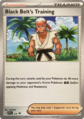 Black Belt's Training - 219 card from SV: Scarlet & Violet Promo Cards