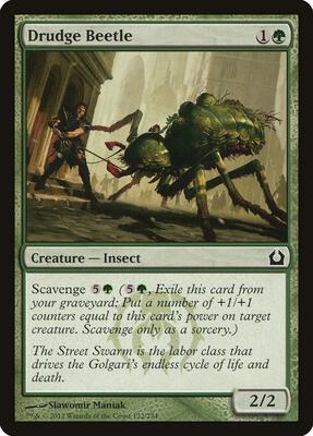 Drudge Beetle card from Return to Ravnica