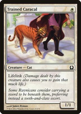 Trained Caracal card from Return to Ravnica