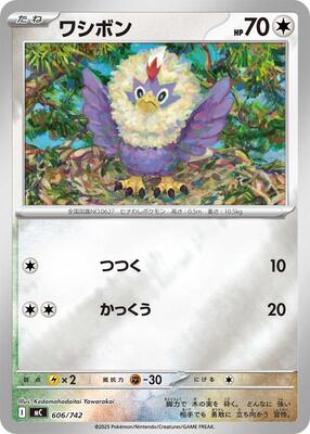 Rufflet (Mirror Holo) card from Start Deck 100 Battle Collection