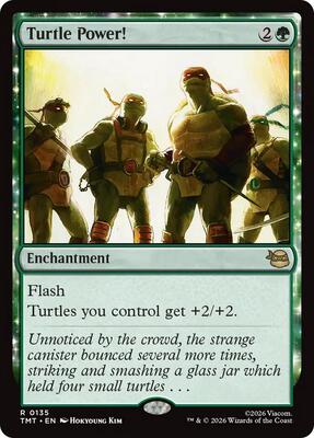 Turtle Power! card from Teenage Mutant Ninja Turtles