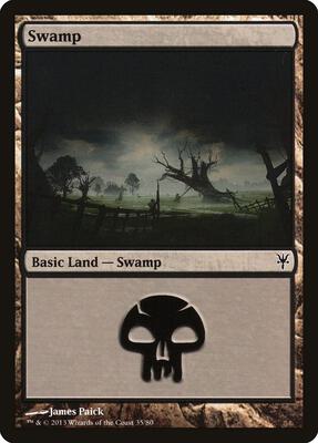 Swamp (35) card from Duel Decks: Sorin vs. Tibalt