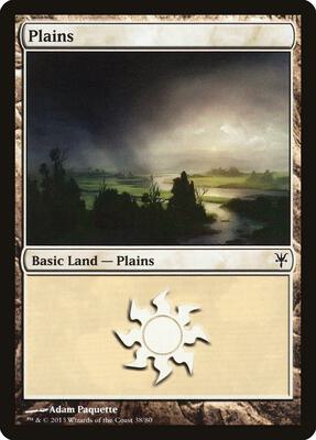 Plains (38) card from Duel Decks: Sorin vs. Tibalt