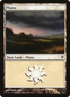 Plains (40) card from Duel Decks: Sorin vs. Tibalt