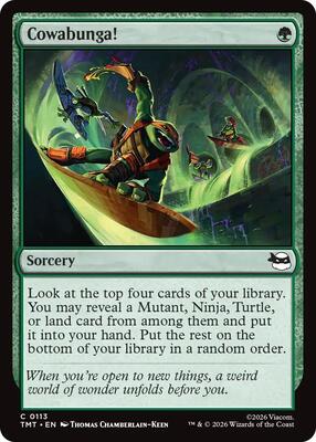 Cowabunga! card from Teenage Mutant Ninja Turtles