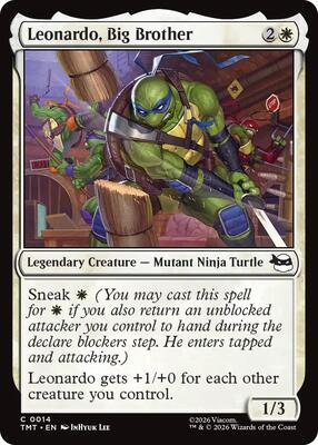 Leonardo, Big Brother card from Teenage Mutant Ninja Turtles