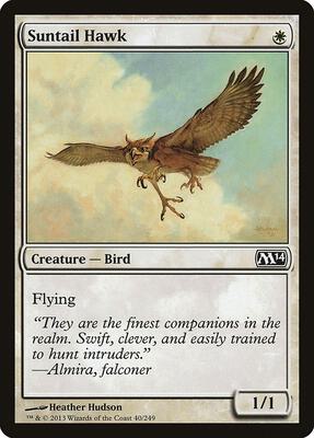 Suntail Hawk card from Magic 2014 (M14)