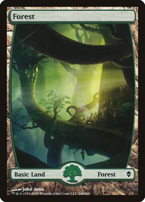Forest (246) - Full Art card from Zendikar