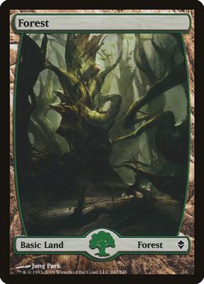Forest (247) - Full Art card from Zendikar