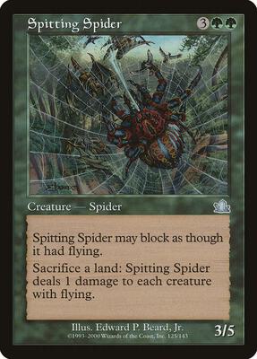 Spitting Spider card from Prophecy