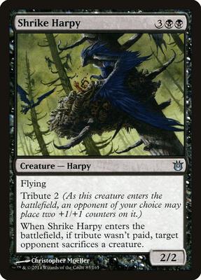 Shrike Harpy card from Born of the Gods