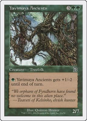 Yavimaya Ancients (31a) card from Deckmasters Garfield vs Finkel