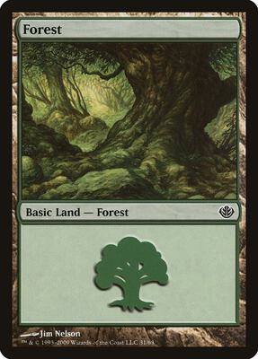 Forest (31) card from Duel Decks: Garruk vs. Liliana
